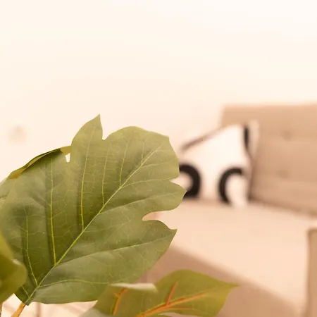 Superior N' Cozy Mozsar 6 In The Heart Of 布达佩斯