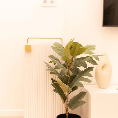 Superior N' Cozy Mozsar 6 In The Heart Of Apartman